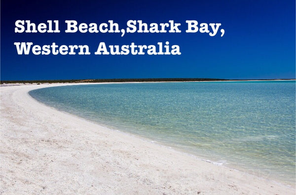 The shelliest beach in the world!!!