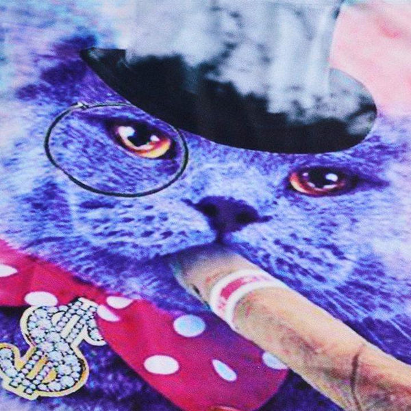 3D Lovely Kitten & Galaxy Tee